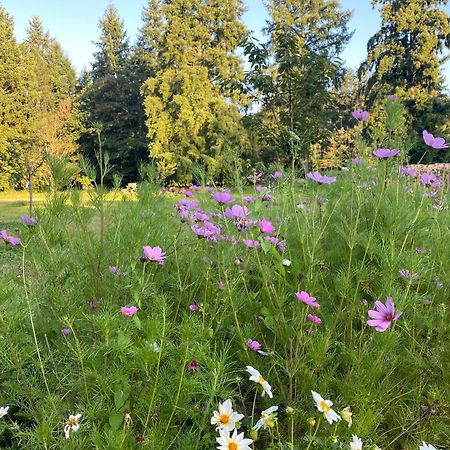 Le Coudray-Montceaux Maison Dans Parc Prive, Sports Et Loisirs Proche Golf Du Coudray Montceaux מראה חיצוני תמונה