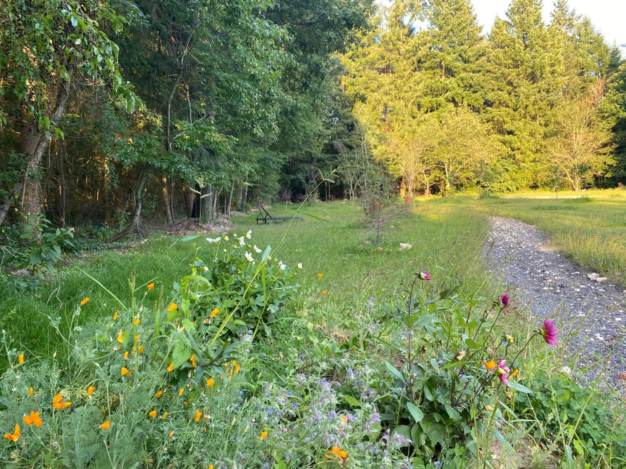 Le Coudray-Montceaux Maison Dans Parc Prive, Sports Et Loisirs Proche Golf Du Coudray Montceaux מראה חיצוני תמונה